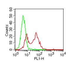 Monoclonal antibody to CD68 (Clone: ABM53F5)-FITC Conjugated